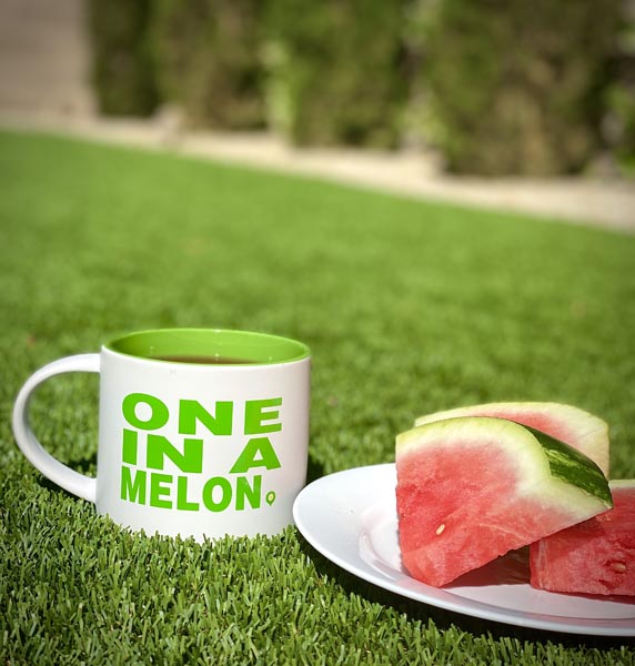 Watermelon slices with a Melon Local branded mug