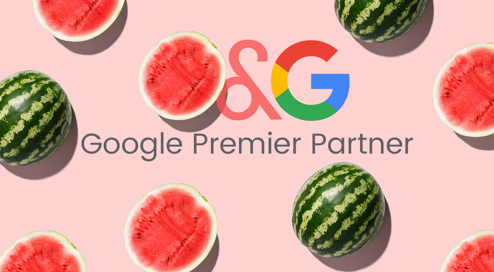 Melon is a Google Premier Partner blog image